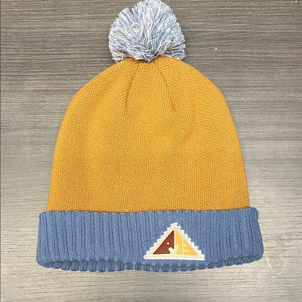 Patagonia winter hat in stylish and Blue and orange